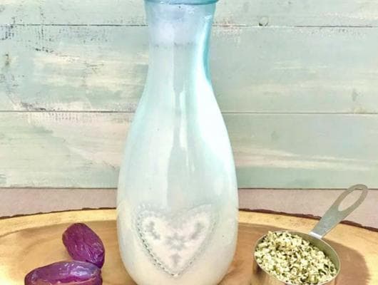2 Ingredient Pure Vegan Hemp Milk