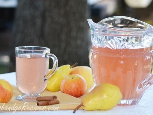 Apple Pear with Cinnamon Stick Kompot