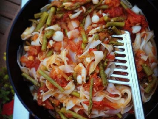 Asparagus Splendida