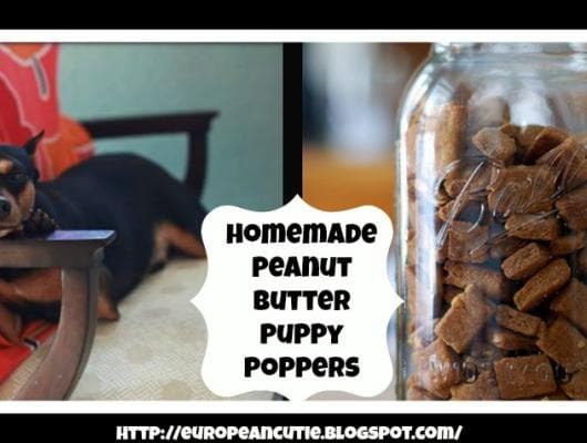 Peanut Butter Puppy Poppers
