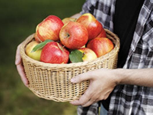 Rustic Pear and Apple Crumble